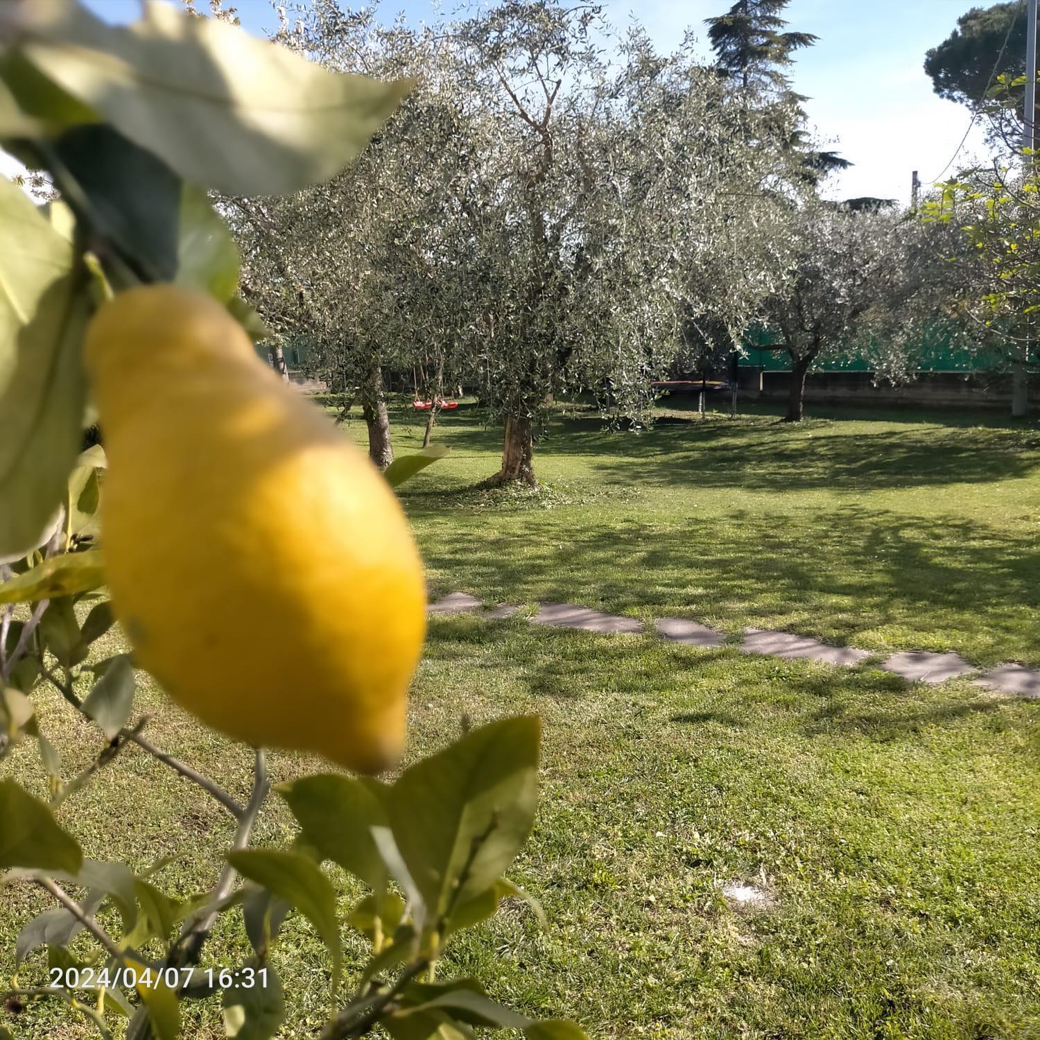Bed and Breakfast La Magnolia - Fano Exterior foto