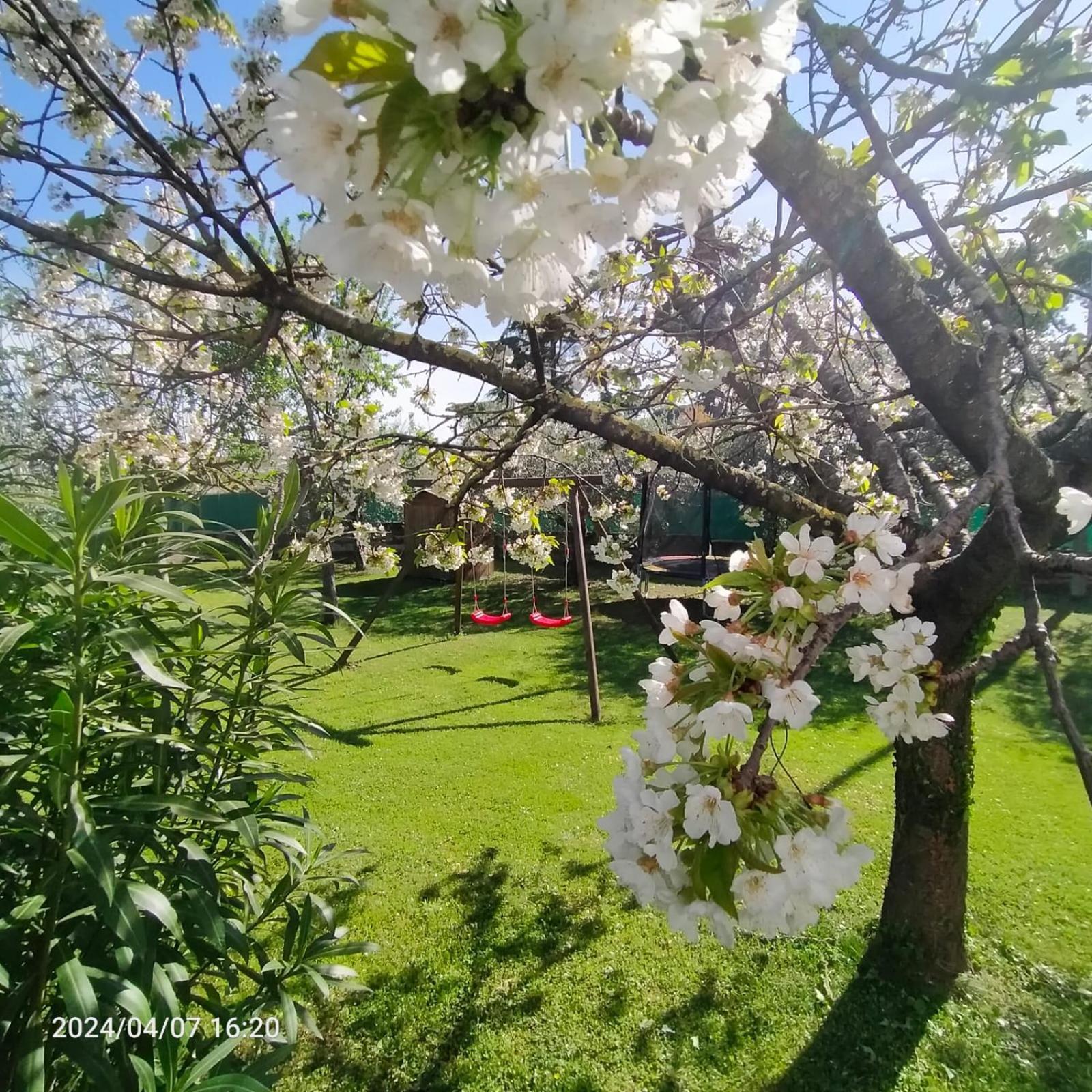 Bed and Breakfast La Magnolia - Fano Exterior foto